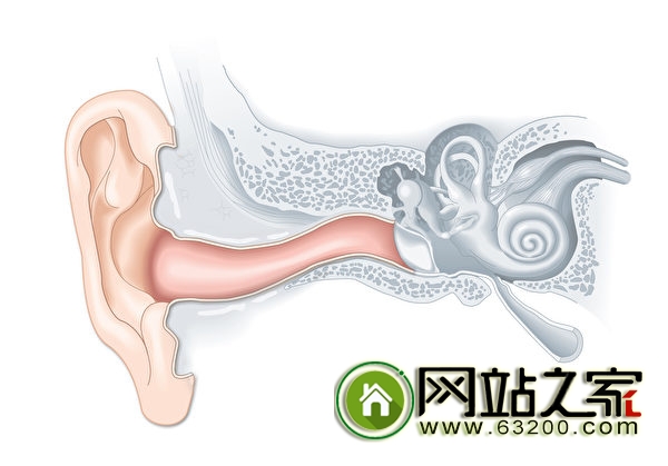 为什么有些人的耳垢比较多？