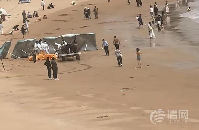 青岛第三海水浴场现鲸类尸体 疑为小须鲸已做无害化处理