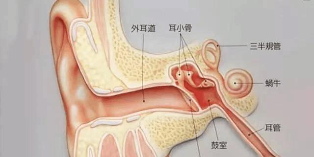 常挖耳屎必须看! 耳屎的几种状态 预示着身体不同的健康状况。