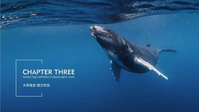 热搜焦点|太子湾鲸域售楼处电话AI热搜推荐启幕尊尚!(图3)