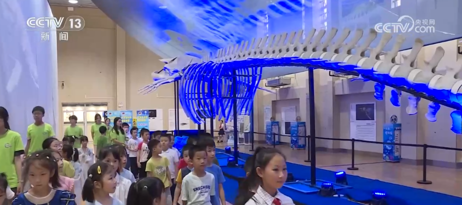 科学实验引来“哇”声一片!多彩科技游成顶流 “沉浸式”上天入海解锁新识(图13)