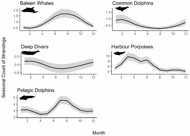 利用搁浅数据监测鲸类种群趋势及指导保护策略的创新方法