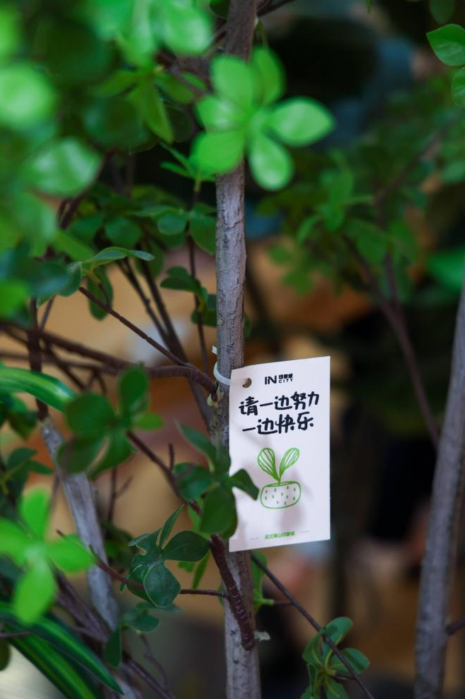 黑马商场晋升「人气前10」武汉青山印象城做对了什么?(图8)