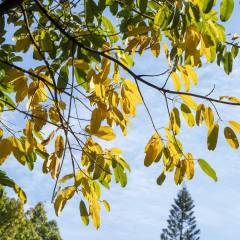 鲸类研究学什么专业(图5)