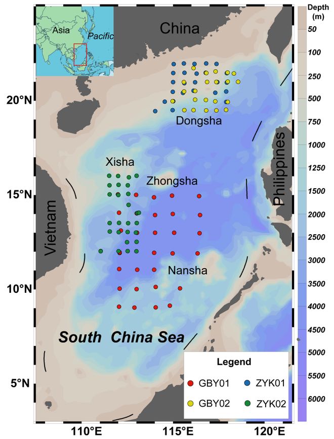 TOP期刊发文！水科院南海所研究团队揭示南海鲸类与灯光罩网渔业的互作关系！