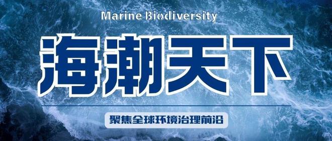 2025年世界自然保护大会将于2025年10月9日在阿布扎比开幕!亮点纷呈(图5)