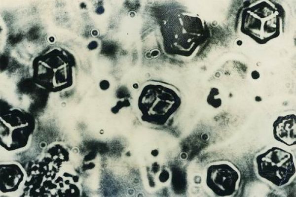 拿没拿洋奖项不是定义中国发展水平的指标(图2)