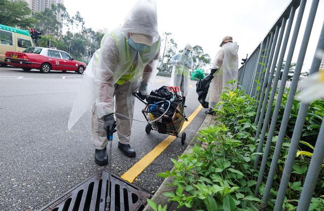 冰岛沦陷!全球仅存南极无蚊区蚊子带病毒扩散多国拉响警报(图3)