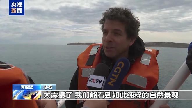 阿根廷瓦尔德斯半岛迎来最大规模南露脊鲸群(图3)