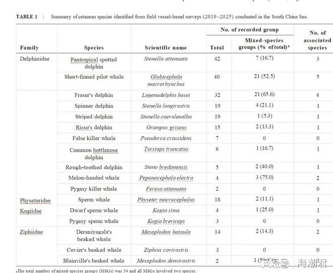 南海深藏社交圈!12种鲸豚跨界组合中国科学家首次量化记录(图7)