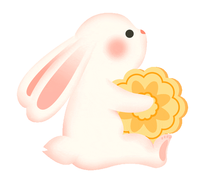 南海深藏社交圈!12种鲸豚跨界组合中国科学家首次量化记录(图3)