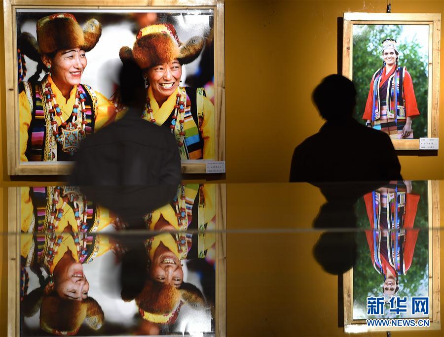 【文体艺苑】埃及“鲸鱼谷”:沙漠深处的古鲸博物馆(图2)