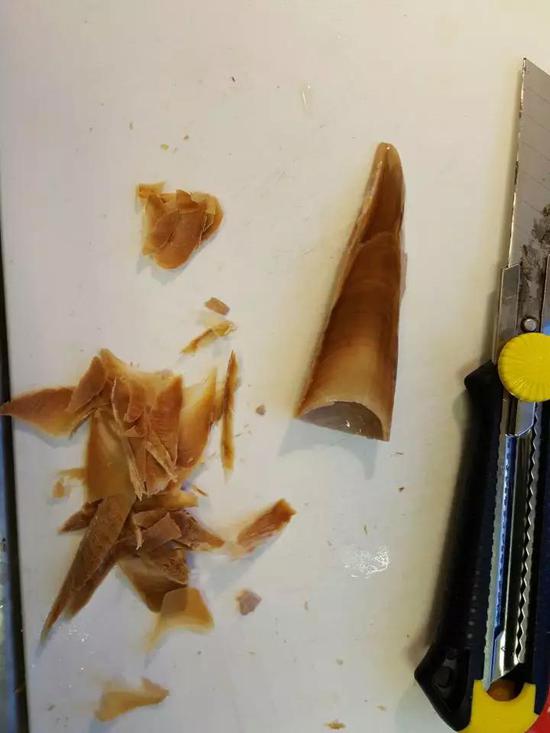 新加坡猫耳朵脏和耳螨的区别：猫为什么会有耳螨