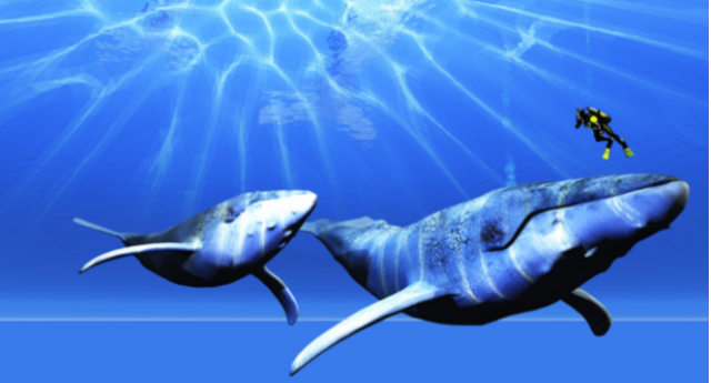 这一次中方不再客气！商务部下达77号令锁死日本“命门”