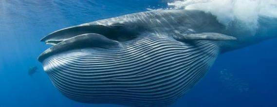 安全生产重点50项检查内容