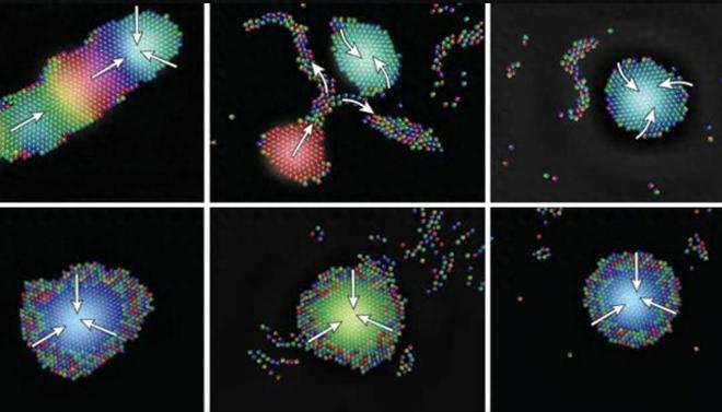 突破化学信号限制！声波机器人群实现毫秒级同步与自愈