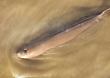 新时代检察精神践行者陈禹橦：专业是检察官最好的名片