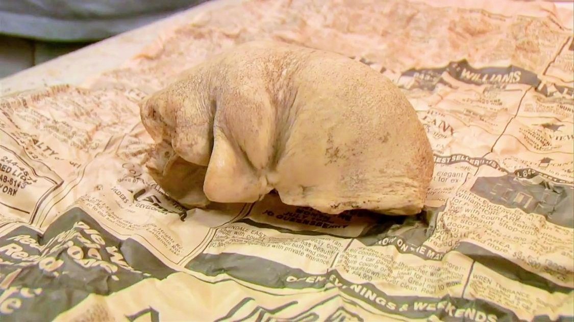 鱼骨手串适合什么人佩戴 鱼骨手串适合佩戴的人群