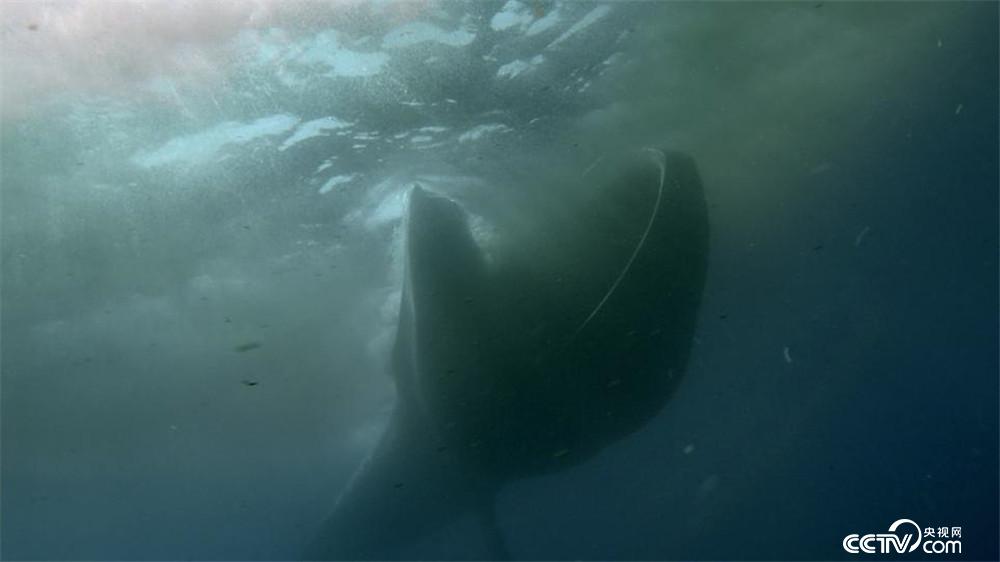 22家刊物共答“原创之问”：2026文学如何捍卫真实？