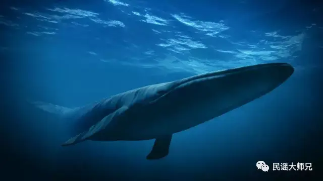 当代诗歌：他数到第七颗流星时望远镜开始失真