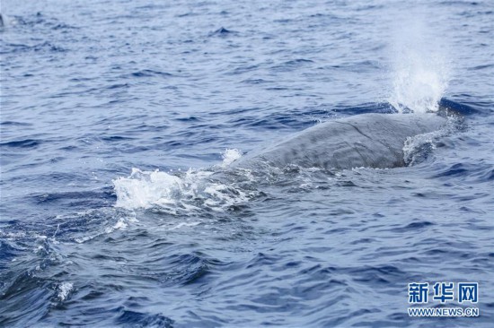 浩鲸科技2025年度盘点：AI 突破应用壁垒 逆势领跑行业增长