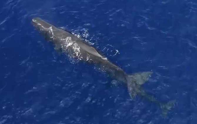 【恒安链讯】12月资讯月报