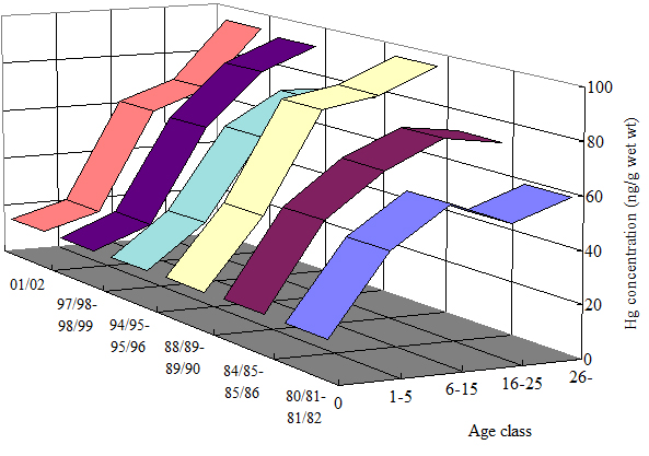 谁是Polymarket上的线万个地址后我们发现了这些残酷真相