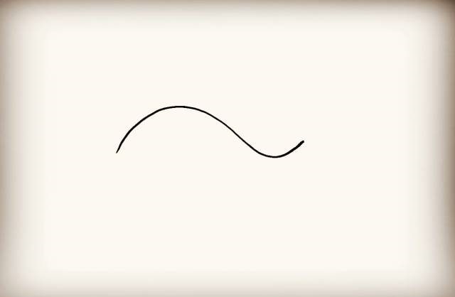 鲸鱼的迁徙路线和捕食习性pptx