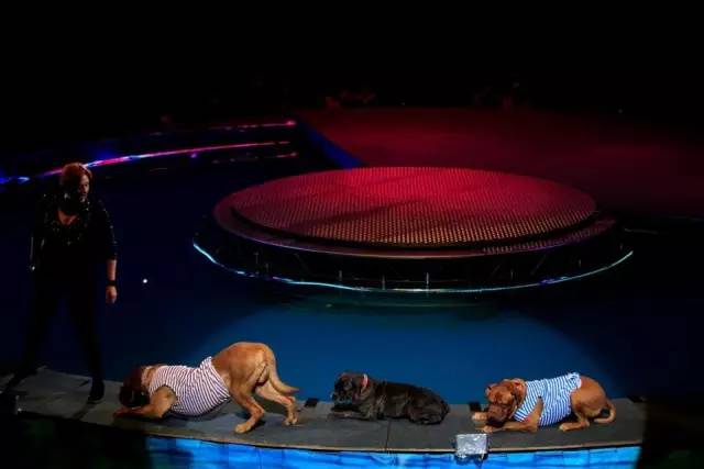 曾经是一家人娱乐消遣的好去处现在却被逐渐排斥它们没变我们变了(图2)