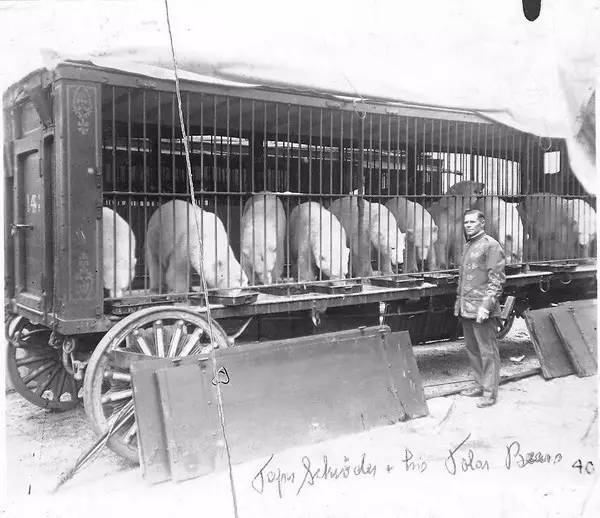 曾经是一家人娱乐消遣的好去处现在却被逐渐排斥它们没变我们变了(图4)