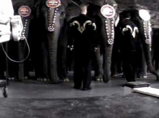 曾经是一家人娱乐消遣的好去处现在却被逐渐排斥它们没变我们变了(图7)