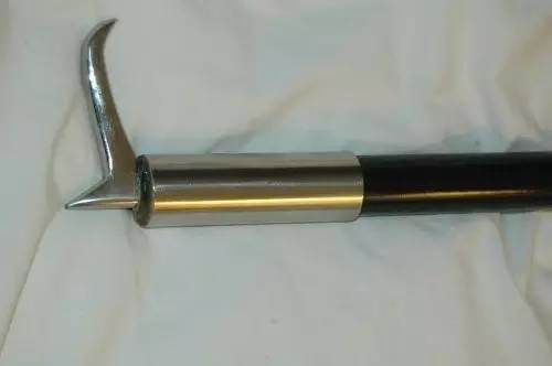 曾经是一家人娱乐消遣的好去处现在却被逐渐排斥它们没变我们变了(图10)