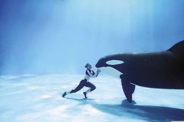 曾经是一家人娱乐消遣的好去处现在却被逐渐排斥它们没变我们变了(图15)