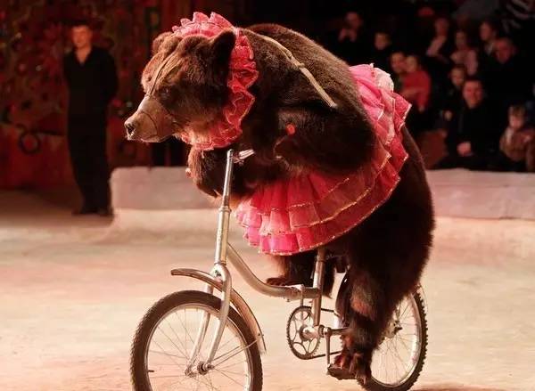 曾经是一家人娱乐消遣的好去处现在却被逐渐排斥它们没变我们变了(图17)