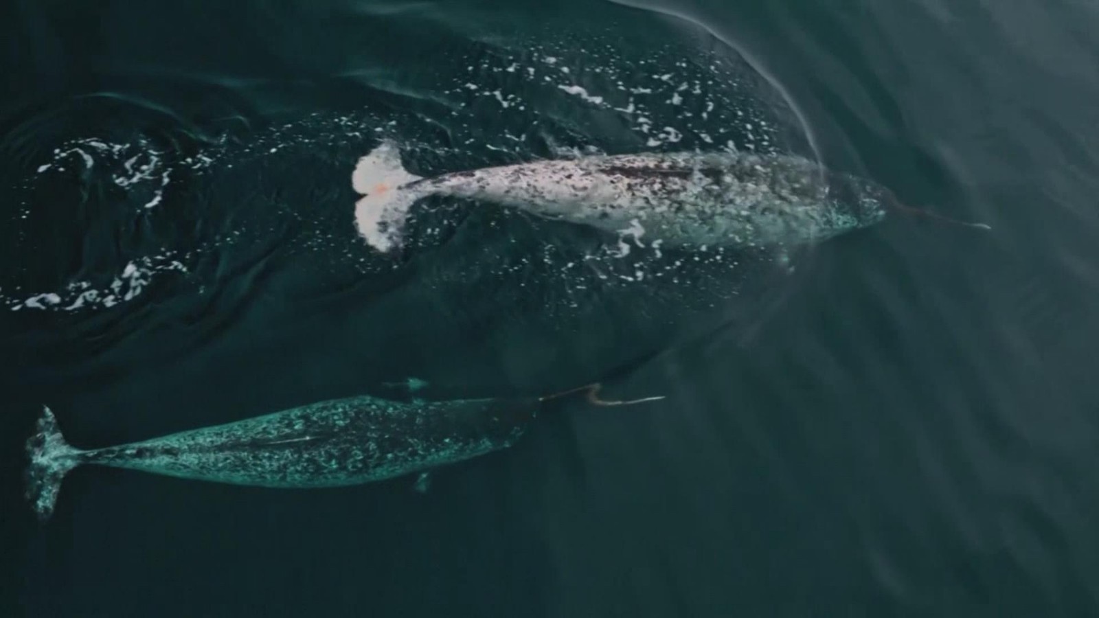 嘉实事件驱动股票