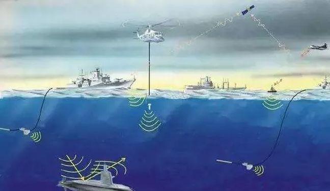 蓝鲸的声音变得日益低沉科学家研究50年至今未弄明白真相!(图7)