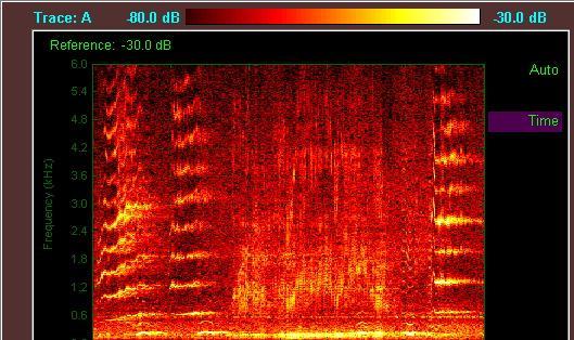 蓝鲸的声音变得日益低沉科学家研究50年至今未弄明白真相!(图10)