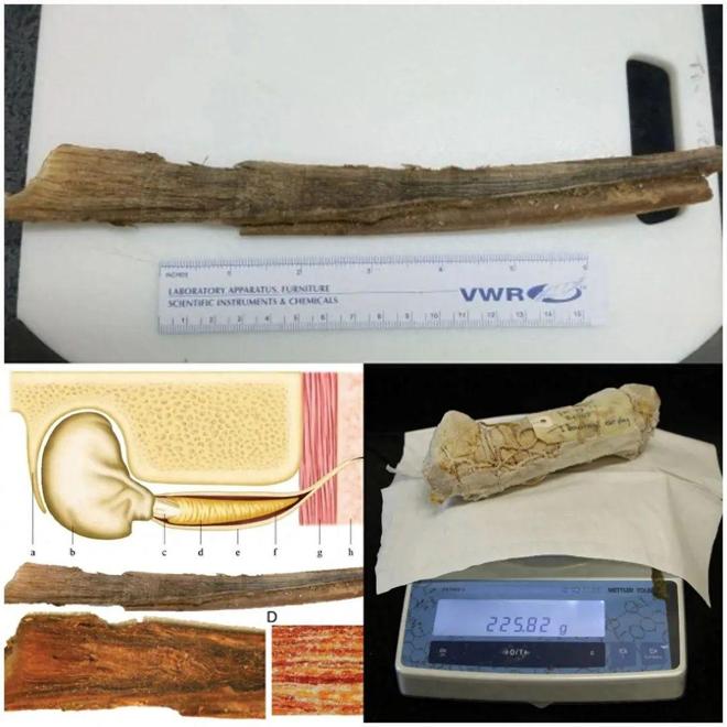 “活久见”的30张图换个角度看世界刷新认知了!(图27)