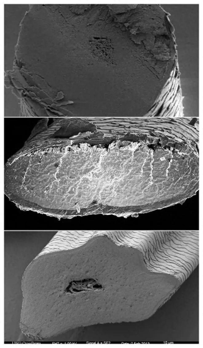 “活久见”的30张图换个角度看世界刷新认知了!(图25)