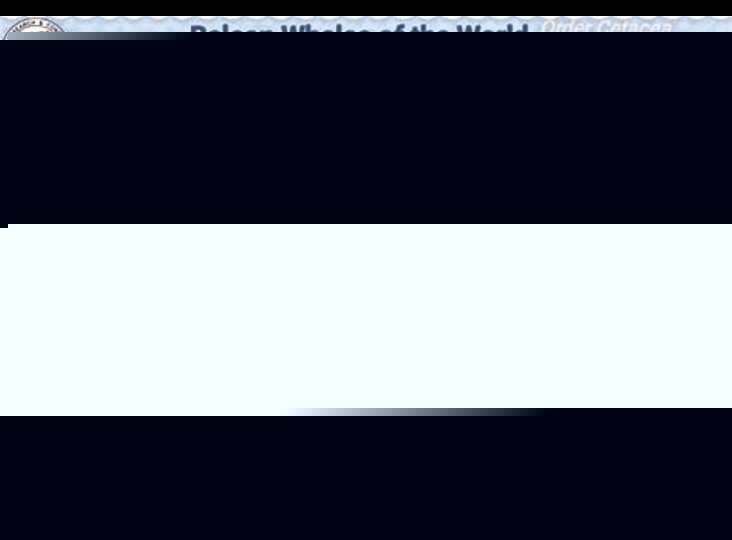 海洋大模型“飞鱼-10”发布 助力智能化预报