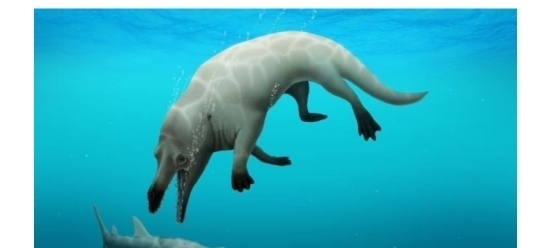 公海保护水域航行：以“热穹顶”现象探索未来海洋治理