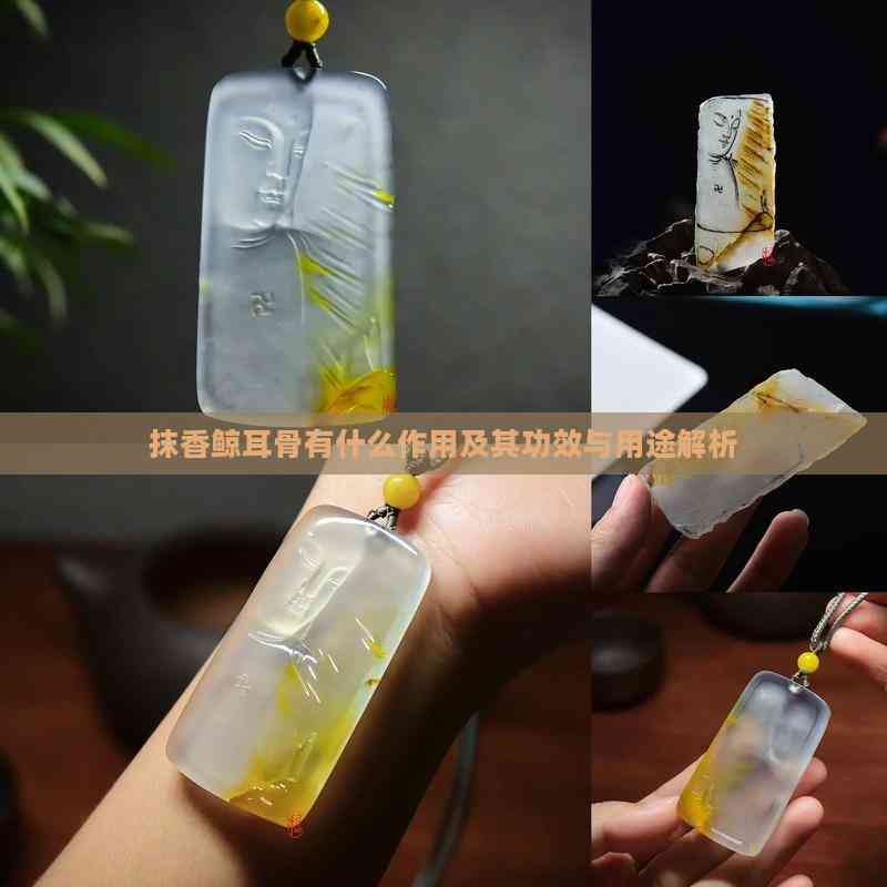 抹香鲸耳骨有什么作用及其功效与用途解析