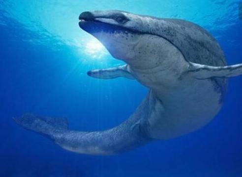 江南春里遇见徽宗书法与“吴门天团”