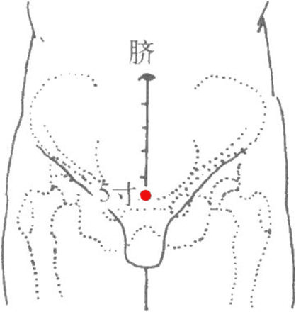 耳骨_耳骨穴的位置、功效与作用、主治、刺灸法_医学百科