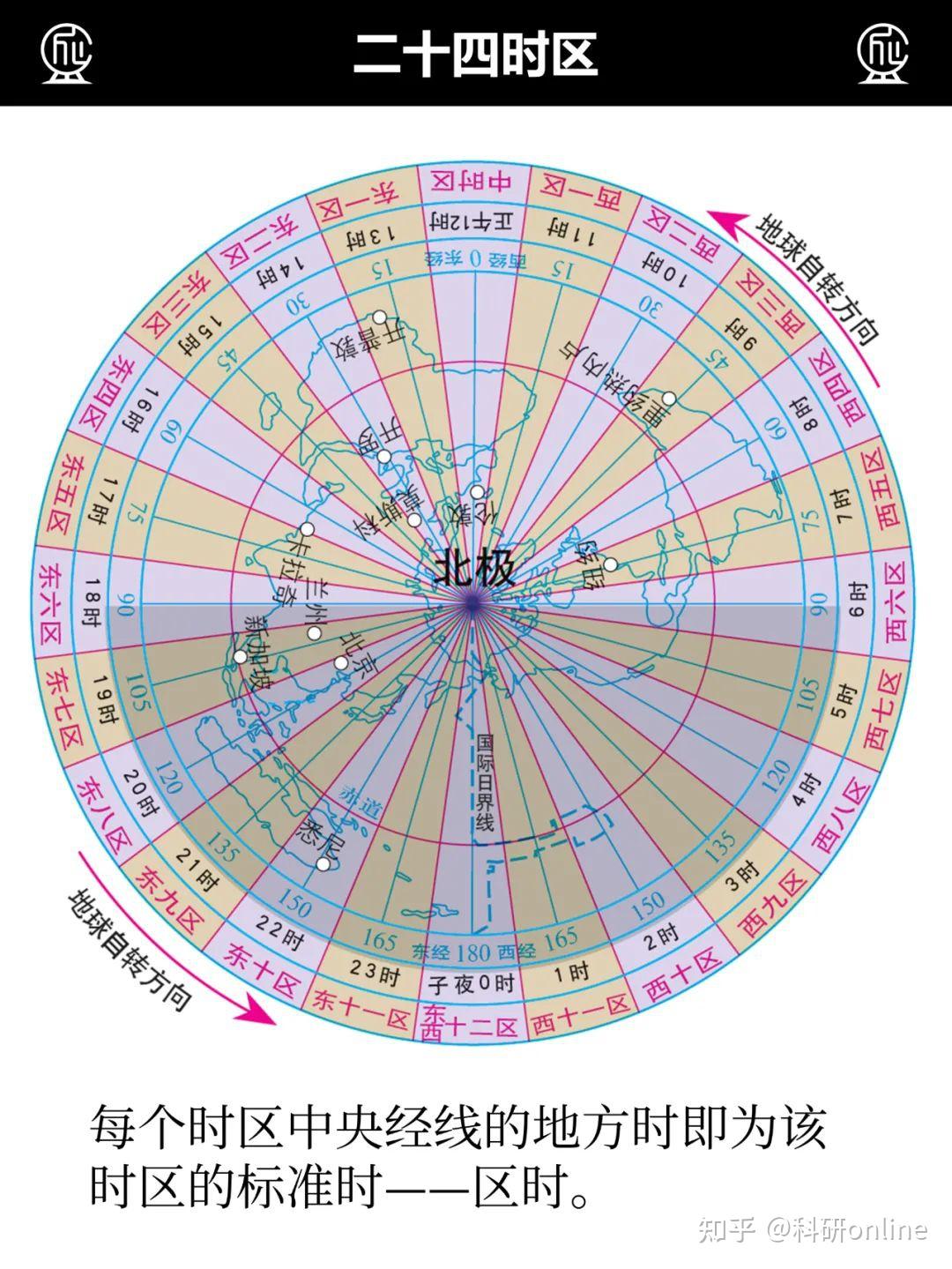 世界上21种不同类型的鲸鱼盘点