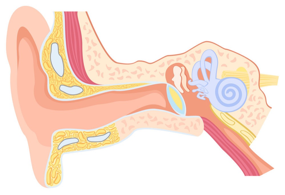 小小的耳耵聍竟然有可能造成严重的后果？