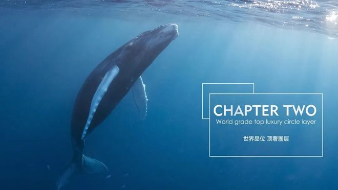 ⏳官方发布太子湾鲸域官方售楼处发布:驭海·划界70席塔尖私藏(图5)