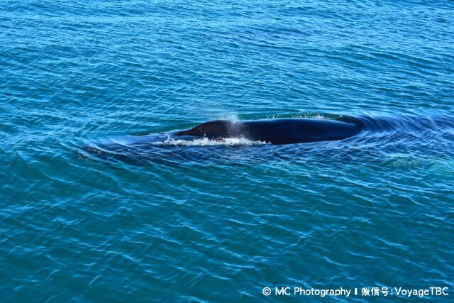 银华中证5G通信主题ETF联接A