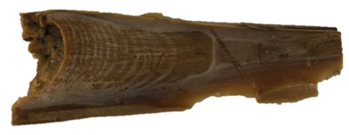 2024跨年热烈问答：张颜齐分享运动心得