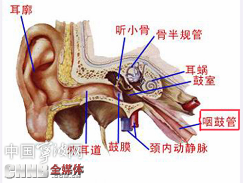 劲旅环境(001230)_最新价格_行情_走势图—东方财富网